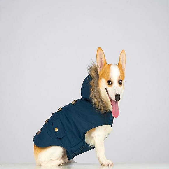 Bee & Willow™ Pet Parka with Hood Navy Blue - NWT - Picture 1 of 1
